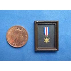 WW11 France & Germany Star